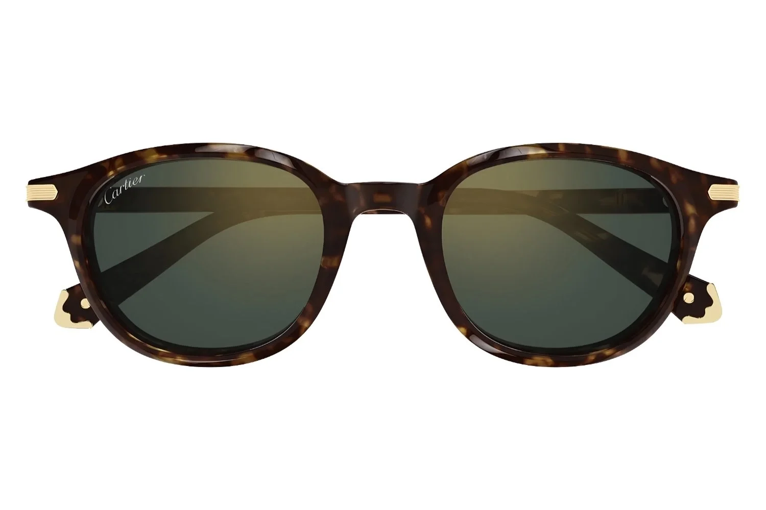 Cartier CT0541SA 006
