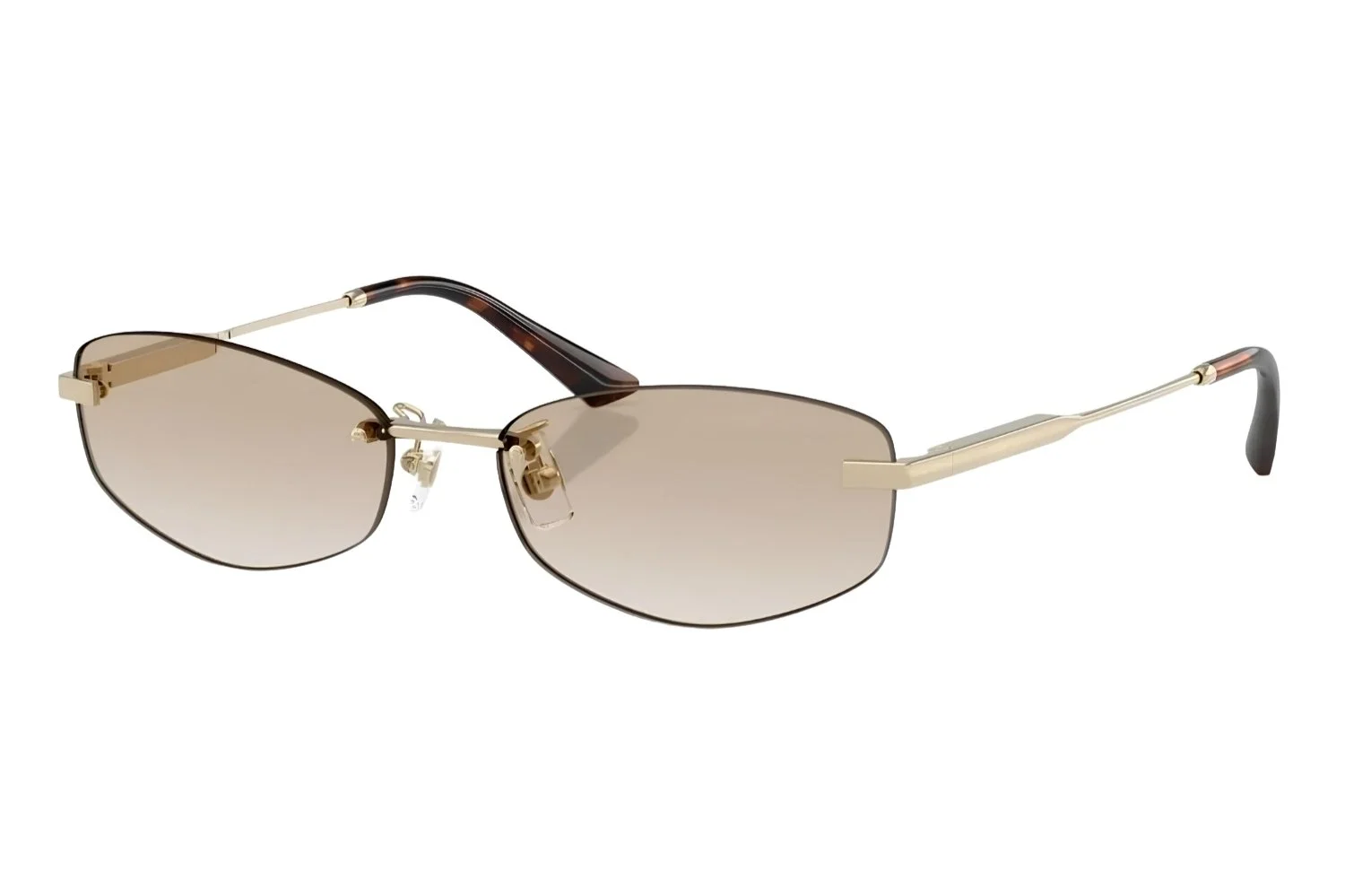 Jimmy Choo 4013D 300611 - 57 Kadın Güneş Gözlüğü - 1