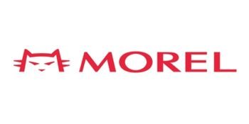 Morel