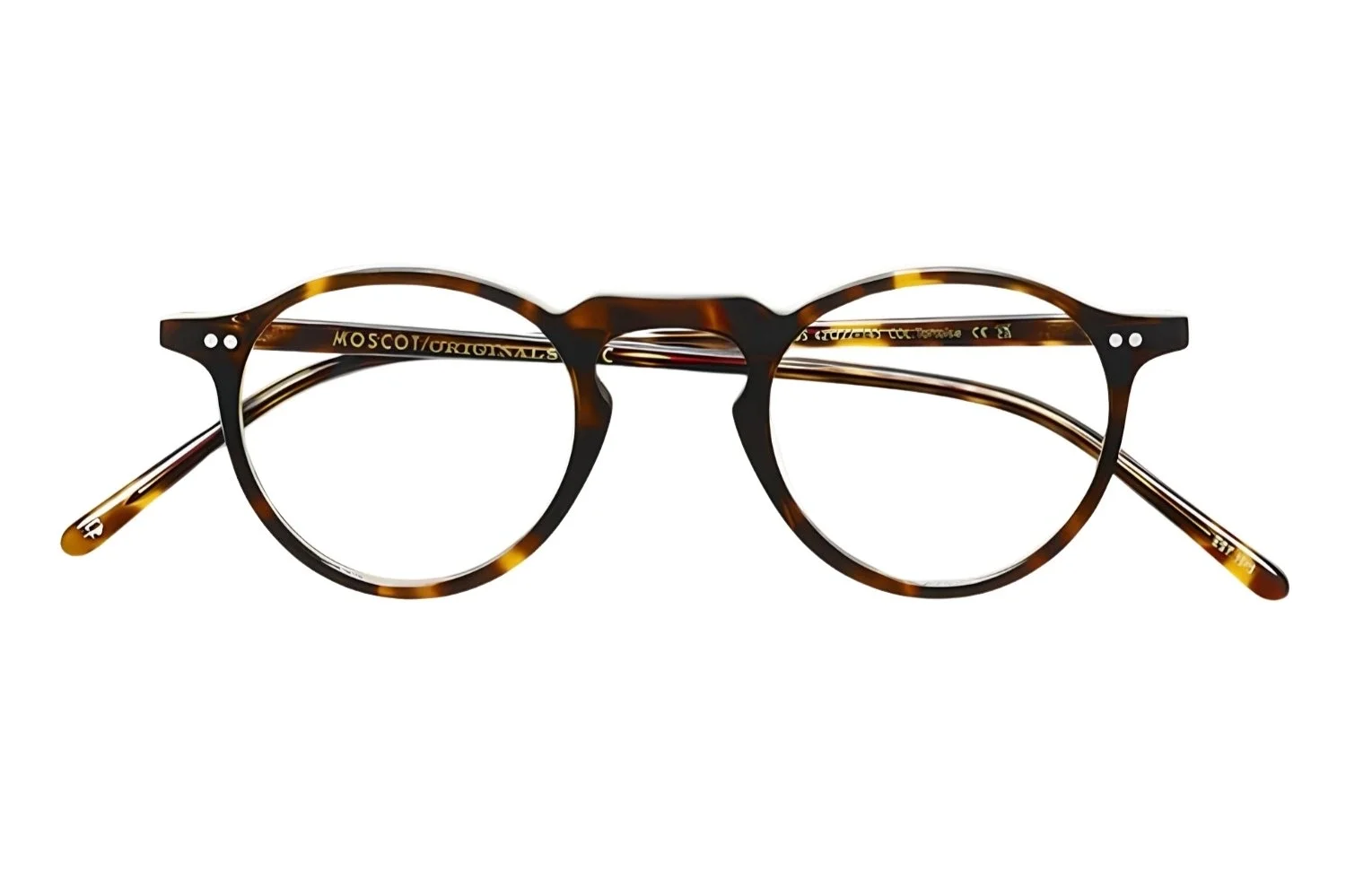 Moscot Tuchus Tortoise 42 TUC200242AM01